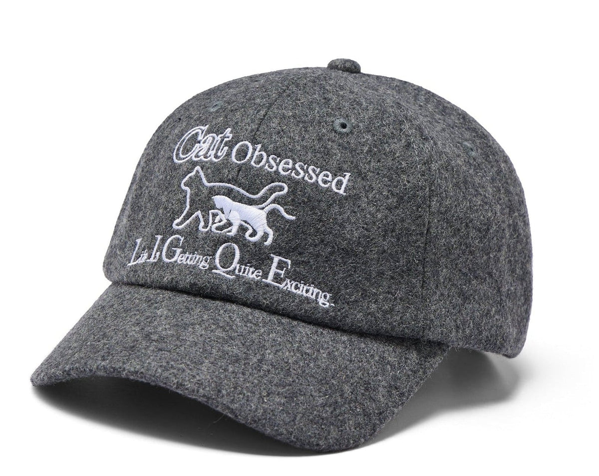 The Cat Hat Baseball Cap