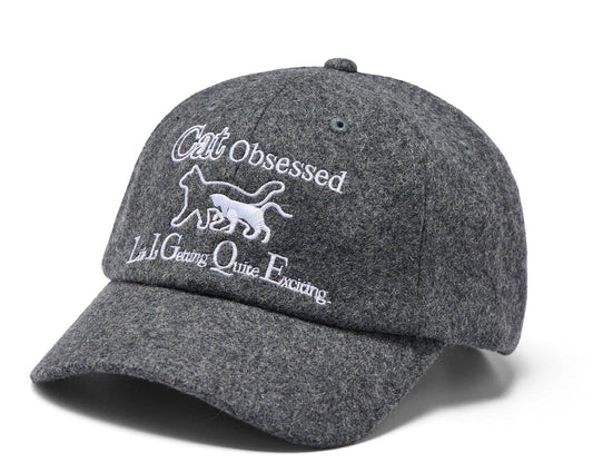 The Cat Hat Baseball Cap