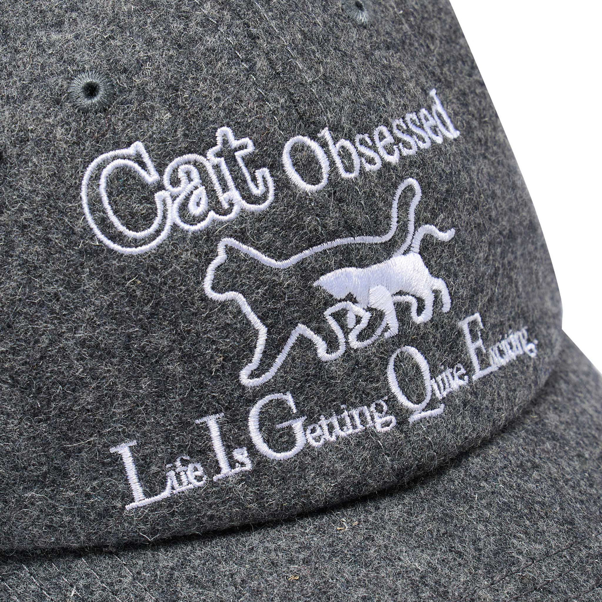The Cat Hat Baseball Cap
