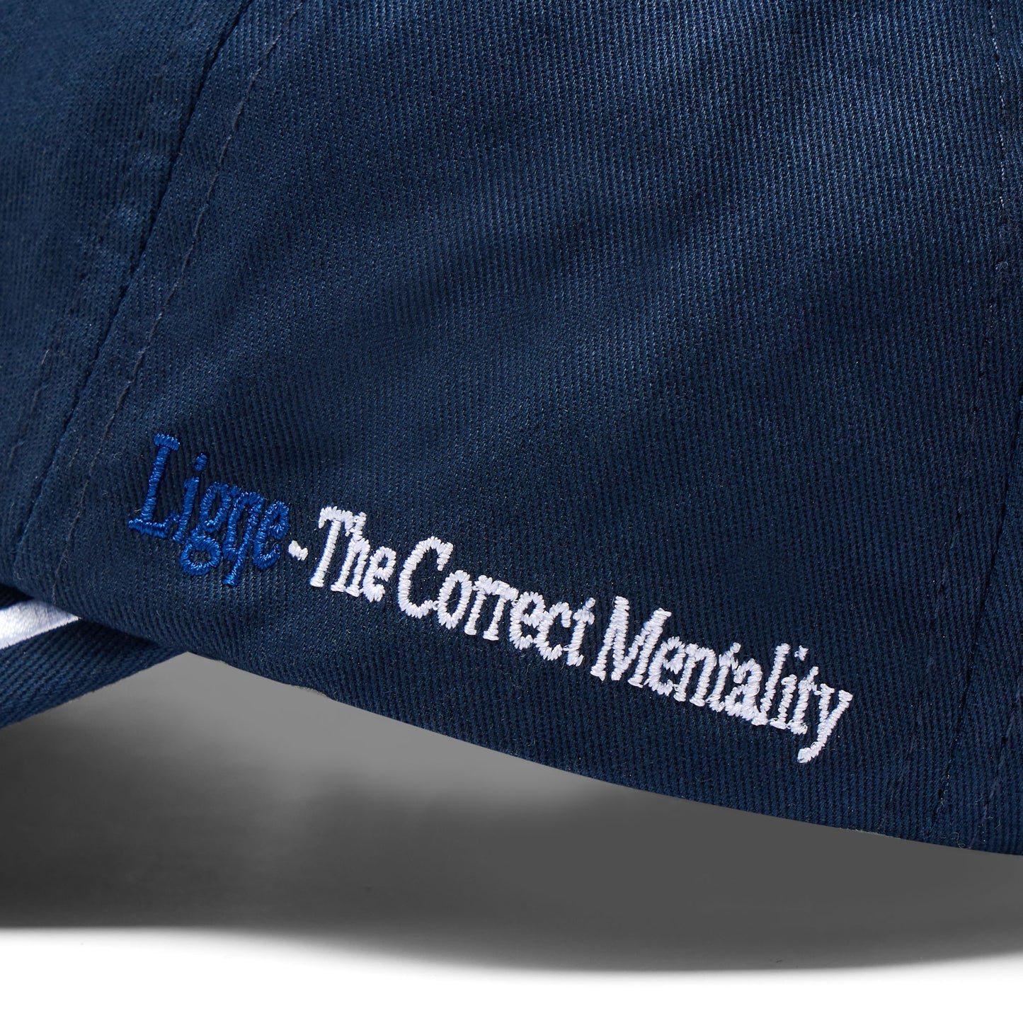 The LandScape Baseball Cap